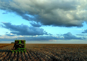 Agriculture in Brazil